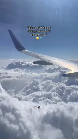 ✈️🥺 #sky #skylovers #longdistancelove #airport #srilanka #viralvideo #fyp #clouds #emotional 