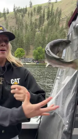 Slippery lil guy😅 #fishing #oops #wa 