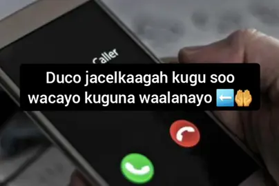 duco halmar aqri#ingybeuty07 #ingybeuty07 #ingybeuty07 #fyp #ingybeuty07 #ingybeuty07 #ingybeuty07 #ingybeuty07 #ingybeuty07 #ingybeuty07 #ingybeuty07 #ingybeuty07 #fyp #ingybeuty07 #ingybeuty07 #ingybeuty07 #ingybeuty07 #ingybeuty07 #ingybeuty07 #fyp 
