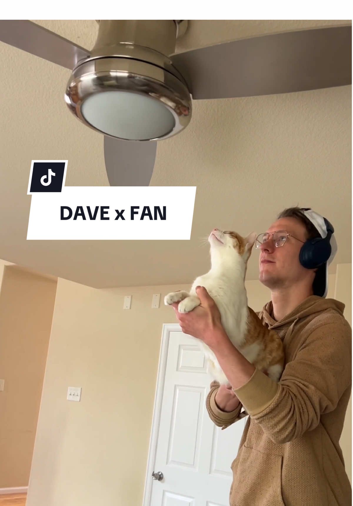 WHAT AM I SUPPOSED TO DO WITH THIS INFORMATION #orangecat #davethecat #catdad 