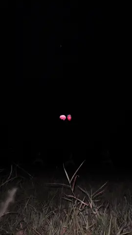 siapa yang tahuu yaa #ikspikerasakti_indonesia #lmg24jam🏴‍☠️ 