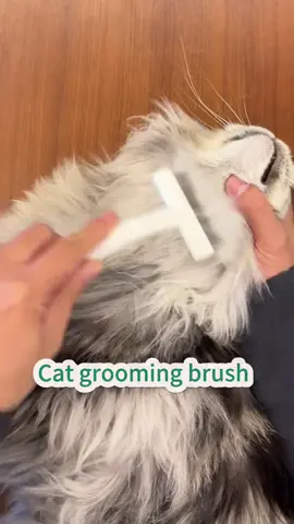 🐾✨ **“Goodbye mats, hello silky fur!”** 🪒💖 Meet the **Ultimate Pet Detangling Comb**—your secret weapon against stubborn knots *and* shedding chaos! 🌪️ Designed with **dual-sided magic**, it pampers skin while shredding tangles.  👉 **SWIPE** to see why 5,000+ pets *beg* for brush time:  ✅ **Round safety tips** = gentle massages, zero ouch.  ✅ **Hidden sharp teeth** = slice through mats like butter.  ✅ **One-pull clean** = shake off fur in seconds (no more clogged combs!).  💬 Comment “TANGLE-FREE” to banish grooming drama!  🛒 Tap the link in bio—*because even lions deserve a salon day!* 🦁💅  #PetGrooming #DetanglingBrush #KnotsBeGone #CatAndDogCare #HappyFurBabies #EasyClean #5kHappyPets  —  **P.S.** Your pet might still side-eye the comb… but *you’ll* love the fur-free couch. 😼🛋️  —