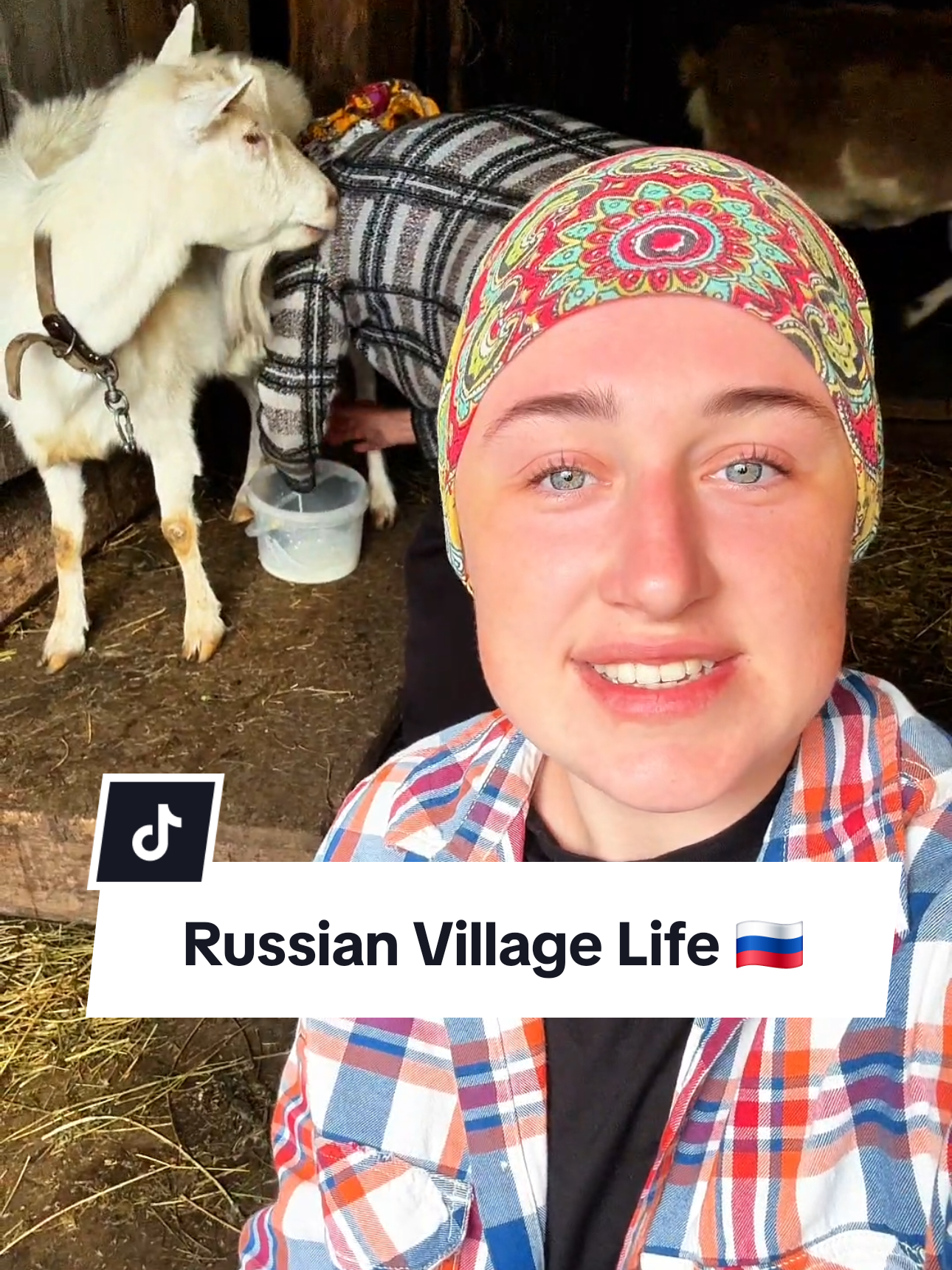 Russian Village life. This is how we milk goats and feed milk to cats in our Russian Village #russianvillage #village #russia #goats #cats