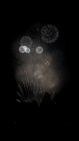 あの時見たあなたの笑顔を私はこの先もずっと忘れることができない気がする___。#恋愛#ソング#教えて#失恋#花火#儚い#祭り