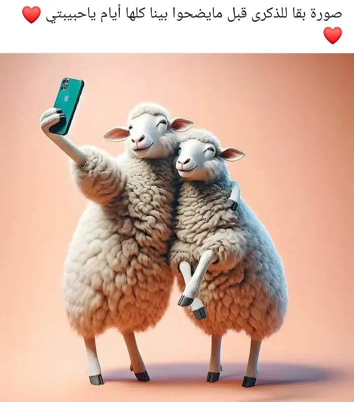 #🤣🤣🤣🤣 #اكسبلورexplore❥🕊🦋💚❤ #صلوا_على_رسول_الله🤲🕋 #🤣🤣🤣🤣 