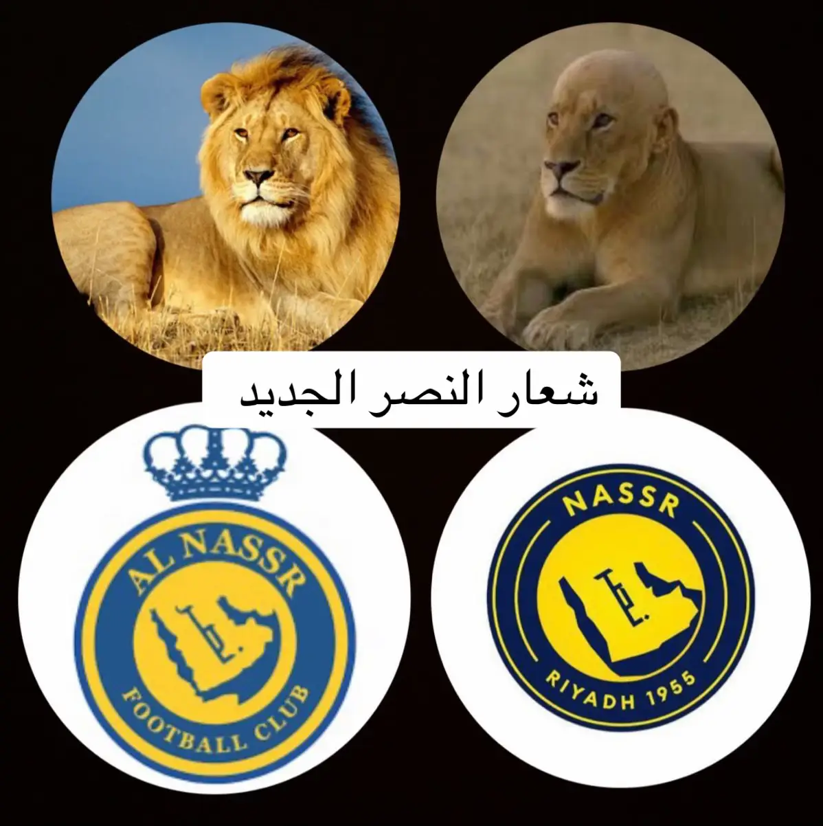 #ويش ذا