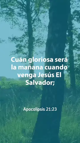 331 La Mañana Gloriosa - Cuán Gloriosa Sera La Mañana - Himno Adventista @Himnos Adventistas @HIMNARIO ADVENTISTA #CapCut #musicaadventista #adventistas #reflexiones #himnarioadventista #himnosadventistas #music #2025 #viraltiktokvideo #cuangloriosaseeralamañana #331