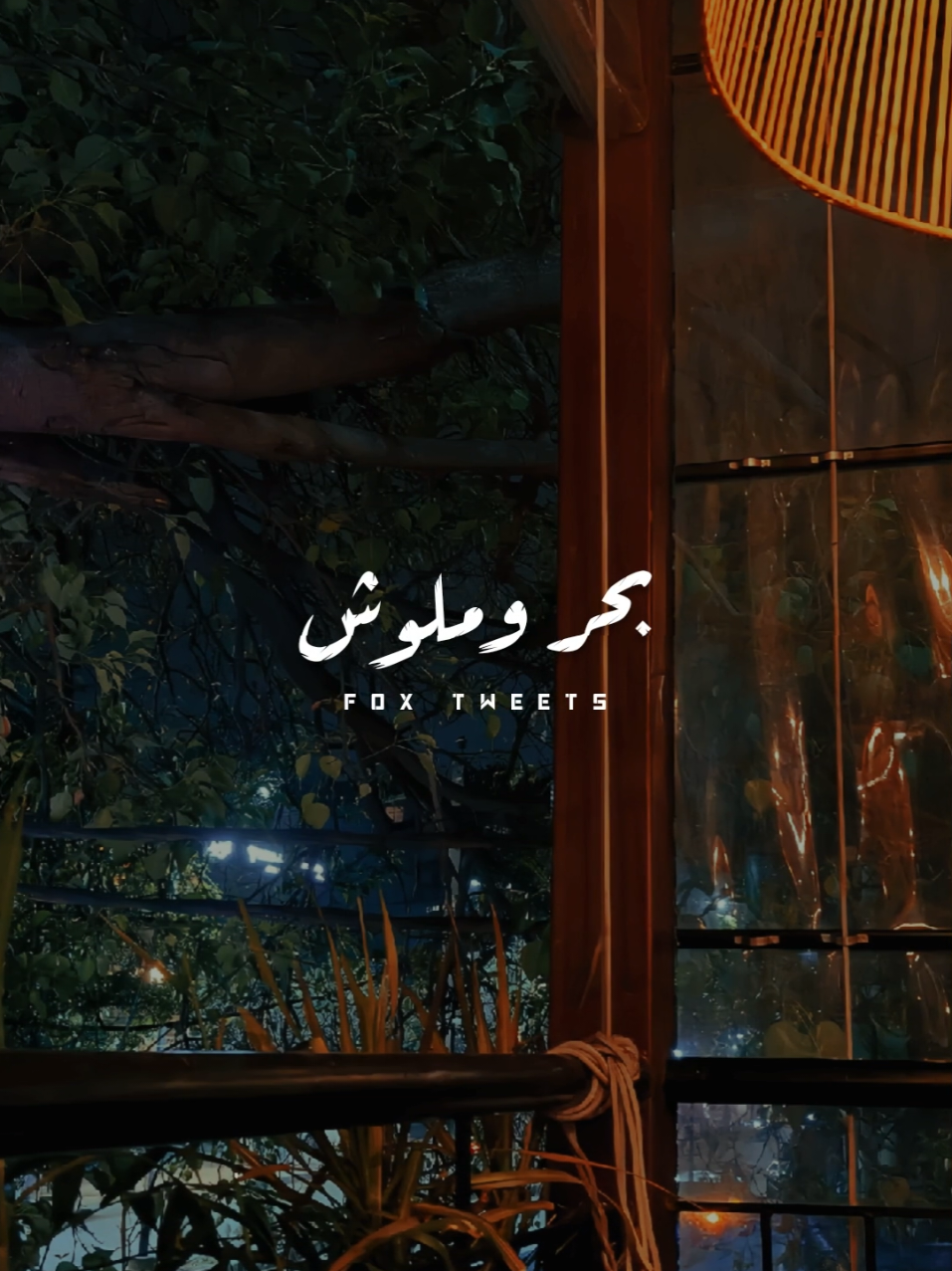 يا شجر التوت ❤️🫐 #fyp #foryoupage #ترند #دندنه #الزين #شجر_التوت 