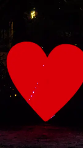 Mostaganem #موستالاند✌❤🥰🇩🇿🇵🇸 #مستغانمي___27__حر__👌👌 #الجزائر_تونس_المغرب #شعب_الصيني_ماله_حل😂😂 