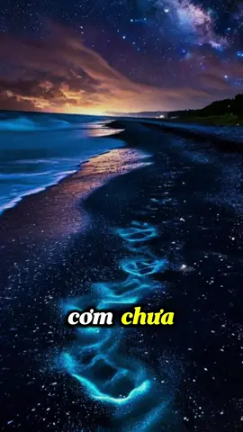 Hãy trân trọng một người luôn hỏi em ăn cơm chưa…#tinhyeu #tâmtrạng #tamtrangbuon #tâmsự #chữalành 