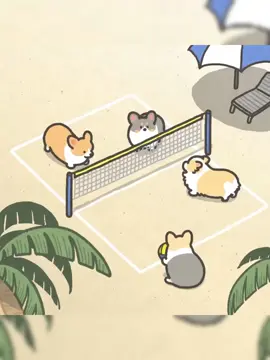 #💪 #volleyball #viral  cute vãi