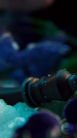 #repost DPA 4 - O Fantástico Reino de Ondion foi adiado para dia 04/12  . . . . #dpa #dpa4 #filme #estreia 