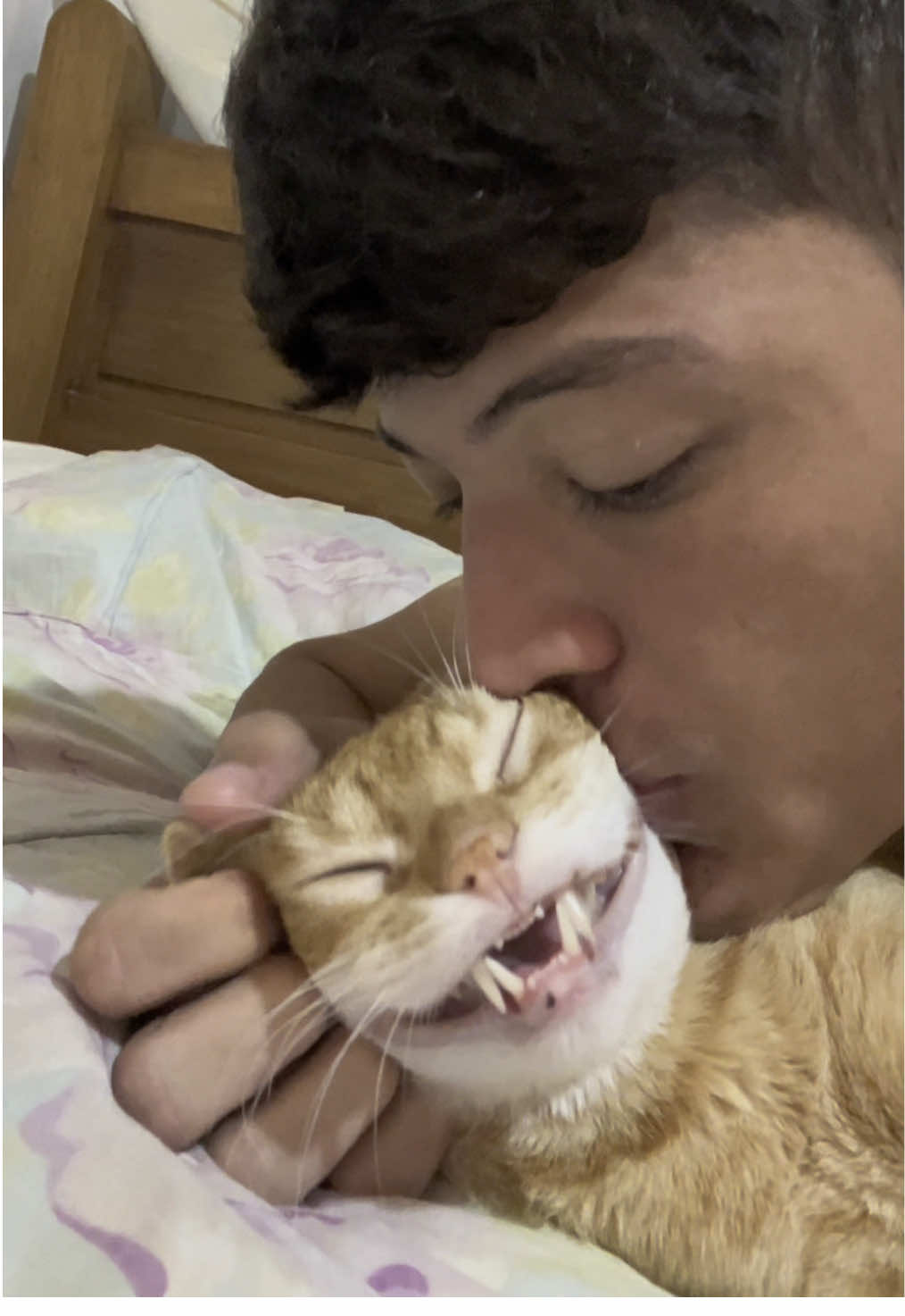 #catsoftiktok #funnycat #gatostiktok #catlover #gatosengraçados 
