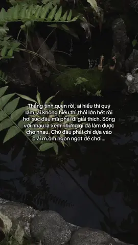 …#tamtrang #story 