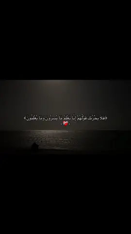 ﴿فَلَا يَحْزُنكَ قَوْلُهُمْ﴾ ❤️‍🩹 #ايات_قرآنية #ايه #راحه_نفسيه #اريحوا_مسامعكم_بالقرآن #اذكروا_الله_يذكركم #fypシ #viral #fyp #اكسبلورexplore 