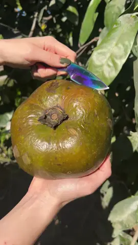 OMG 1 minute 😱 !! #asmr #fruit #fruits