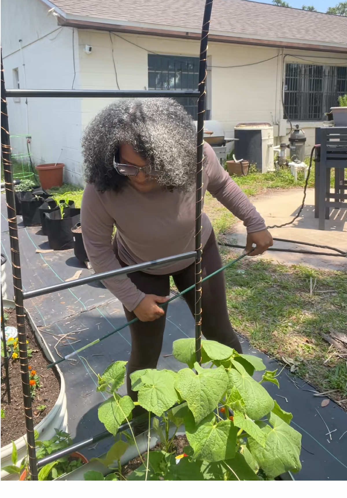 When it’s the Garden Over Everything  #gardentok #gardening #gardenlife #plantmom #backyardgarden #lifewithstarr 