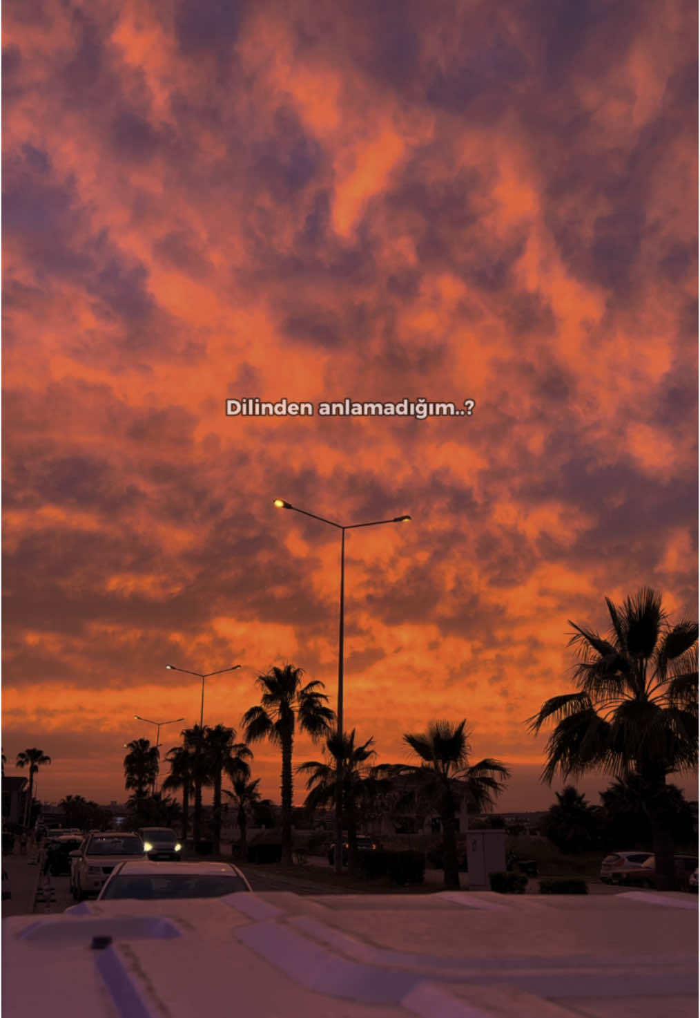 Silmeye Kıyamadığınız Sözlerinizi Alalım..🥀🕊️ #müslümercan #mehmetdemir#şanlıurfam #storyliksarkilar#antalya #storylikvideolar #fypviral,