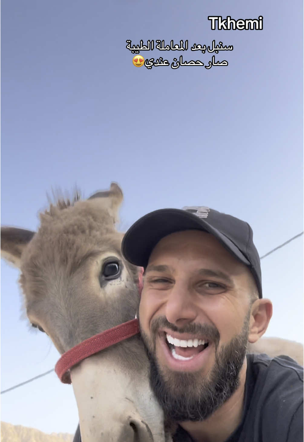#خيل_وخياله🐎 #اكسبلور #viwes #foryoupage #CapCut #MobileGamerNation #fypシ゚viral #الشعب_الصيني_ماله_حل😂😂 #viraltiktok 