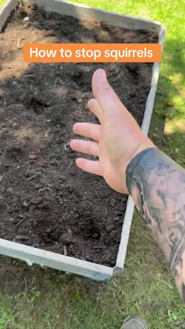 Dealing with pests in the garden #garden #peats 