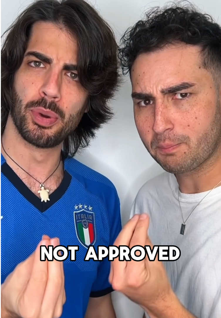 We had to approve his skills!@ashkan.ws #lionfieldmusic #comedy #pizza #italian 