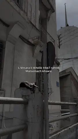 #videoviral #videoviral #explore #viralvideos #fyp #explore #fyp 