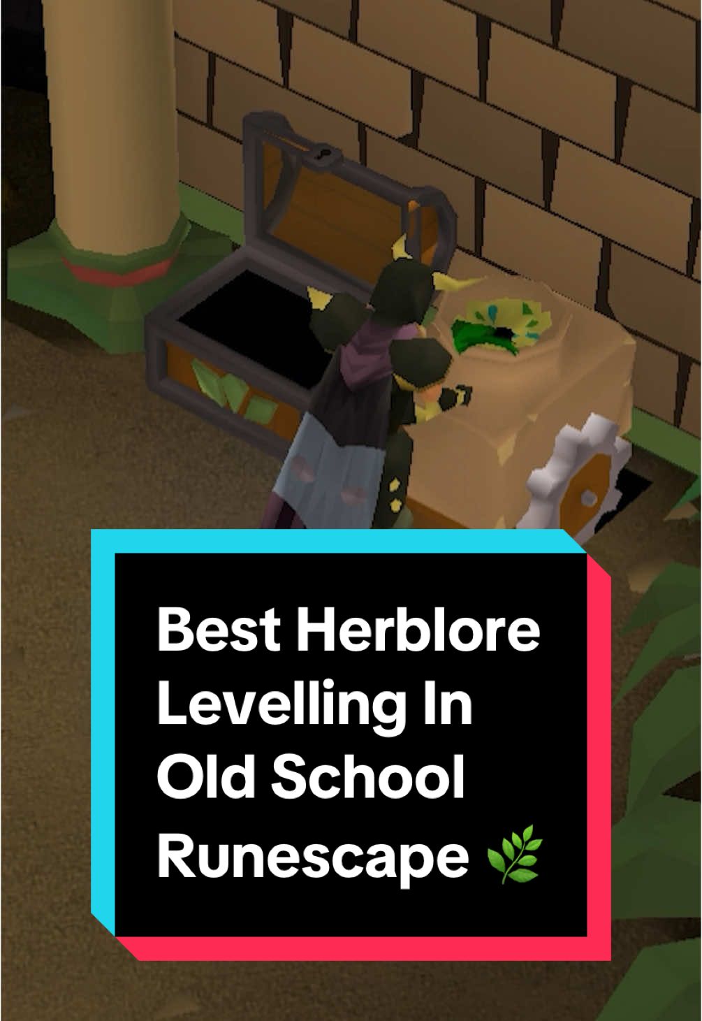 Herblore is a super useful skill in Old School Runescape, but have you tried every method available? Here are 3 methods, let me know your favourite 🤔🌿 #oldschoolrunescape #osrs #osrstiktok #runescape #osrstok #jagex #runescapetiktok #mmorpg 