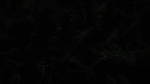 больше фонов в тгк: мистик life #тильт #mistweak #фон #спокойствие #бойцовскийклуб #вайб #грустноевидео #природа #грусть 