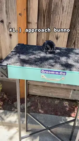 follow for more fun facts