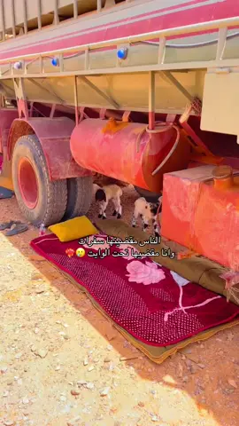 اطلق جو 😭🤣🏃🏻اكسبلور#اكسبلور 
