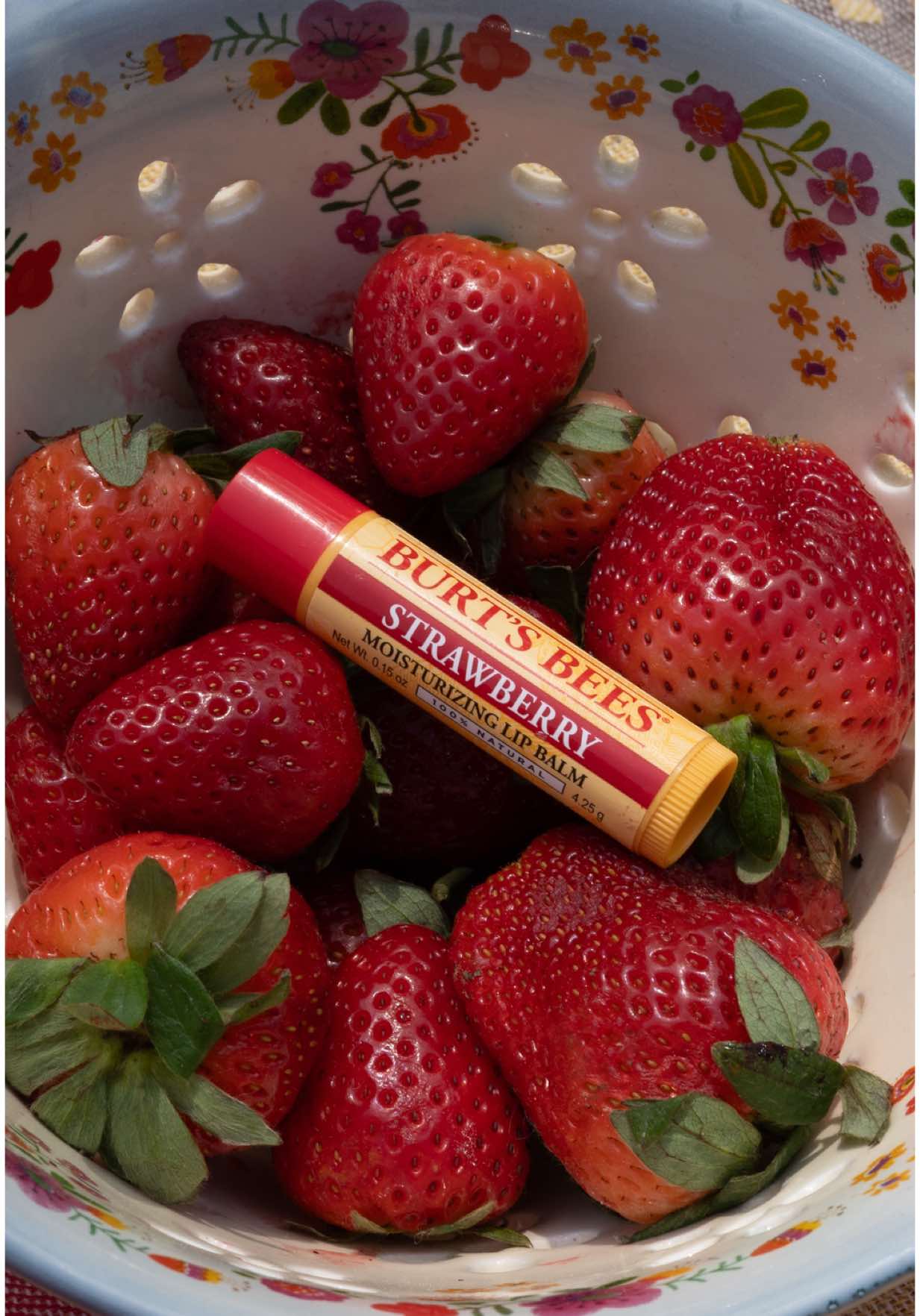 our ideal afternoon 🍓☀️ #strawberry #picnic #lipbalm #lipcare #burtsbees 