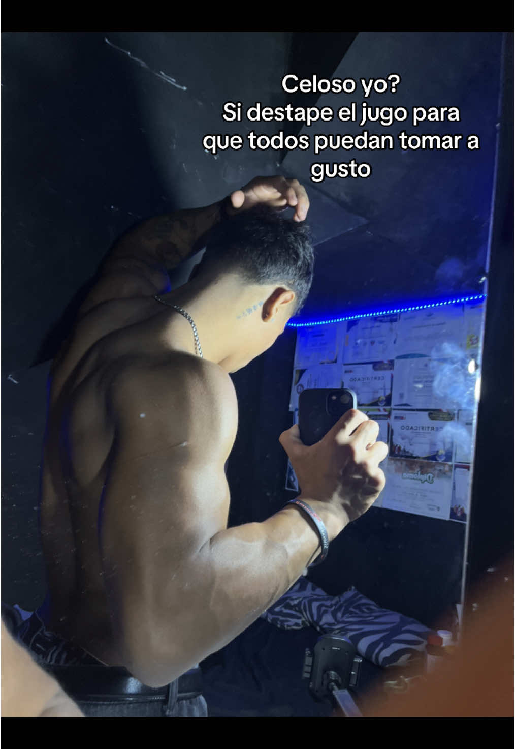 #contenido 