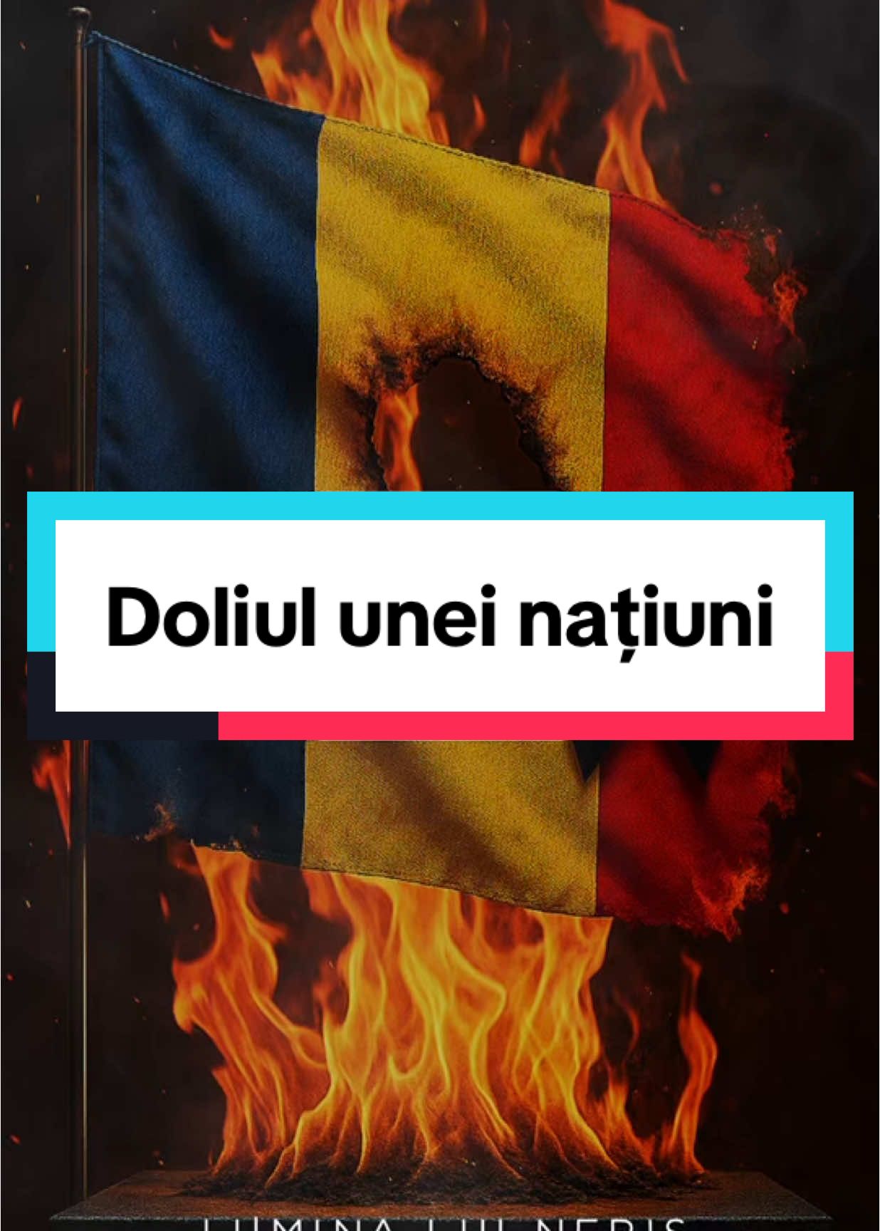Voi vă meritați soarta, dar noi nu. Și totuși, vom suferi împreună. 🕯️ #fyp #romania #coruptie #diaspora #misiuneatiktok #luminaluineris #CapCut 