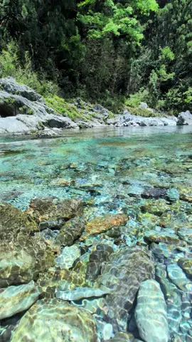 It's just beautiful.🎹🎹#pianomusic #sceneryvideos #beanie #nature #japan #fyp