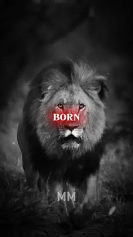 I was born in nothing... . #motivation #usa #usa_tiktok #unfreezemyaccount #listentothiseveryday #growbeyoundyourlimits #yourblessingiscoming #quotesoftheday #fyp #motivationalquotes #inspirationalquotes #motivationalspeeches #bravemind #stoicism #mindset #quotes #inspiration #peakmotivation 