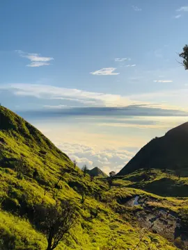 Sungguh indah ciptaanNya #merbabu 