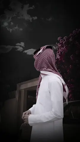 اتمنى تشوفك عيني #شيلات بدر العزي - درب السلامة #ترند #CapCut #اكسبلور 