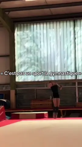 Pas de débat, la gymnastique est le sport le plus dur au monde.