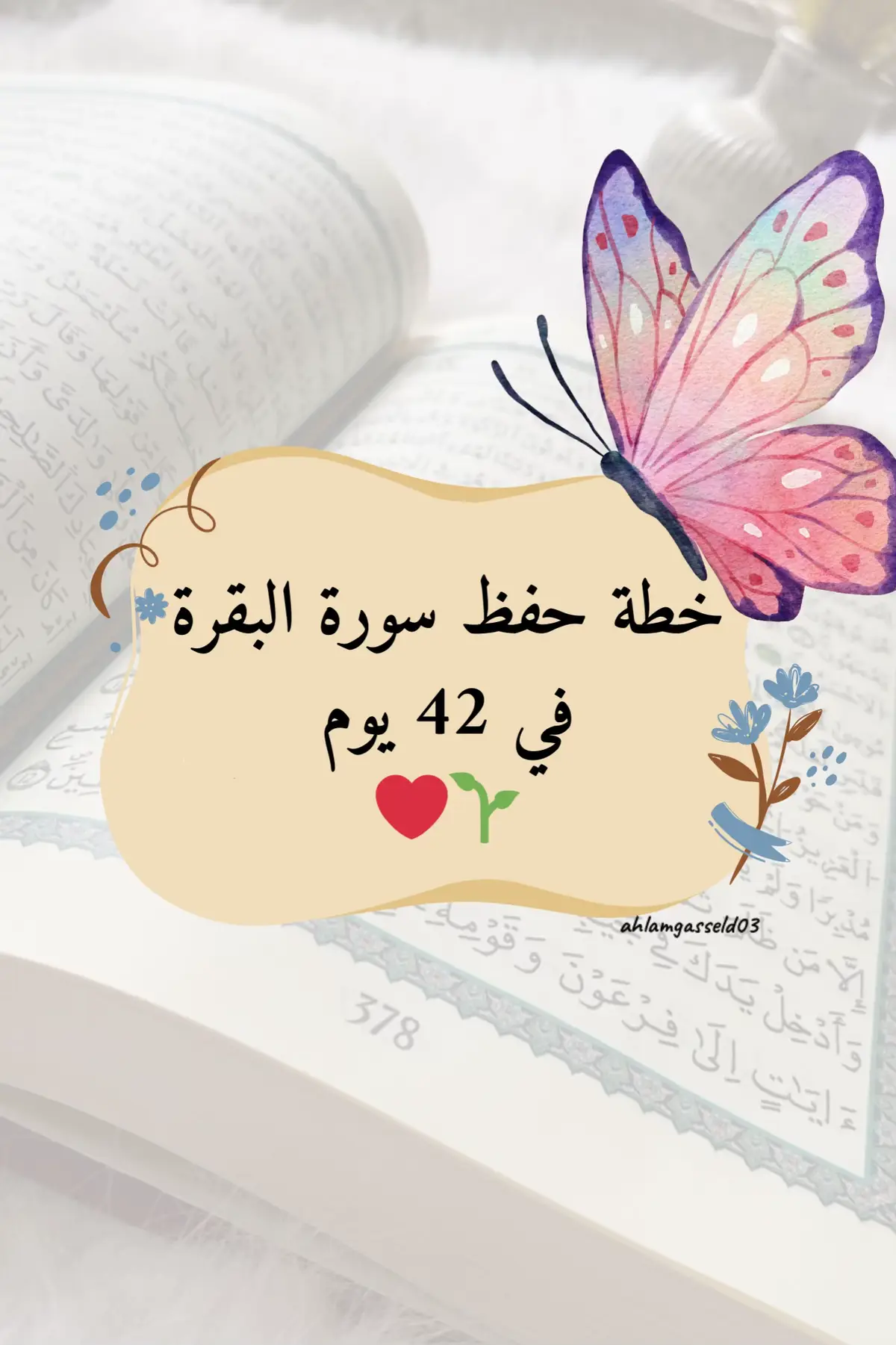 ‏‎#القران #القران_الكريم_راحه_نفسية😍🕋 #القران_الكريم #قران #قران_كريم #سيستجيب #دعاء #عبادة #اسلام #الله #بودكاست  #شعب_الصيني_ماله_حل😂😂 #trendingvideo #اكسبلور #explore  #تكرار #تثبيت #حفظ #حفظ_القران  #الصحبة_الصالحة #الاغواط #laghouat مجموعة_قران #حلقات_قران #خطة #خطط #خطة_حفظ #سور #تكرار #تجويد #احكام #سورة_البقرة 