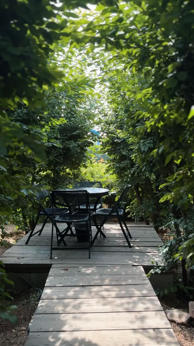 المزرعه خياال بس خساره رحنا وقت مافيه حصاد☹️ #taif #الطايف #اكسبلور #saudiarabia🇸🇦 #foryou #foryoupage #viral #tiktok #fyp #fypシ゚ #مالي_خلق_احط_هاشتاقات #مزرعة_التين #الشفا #كافيهات_الطائف 