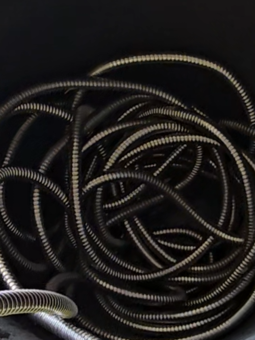 steel garden hose > my old rubber hose could never! #gardenhose #bionic #homeimprovement #gardening #TikTokShop #tiktokshopfinds 