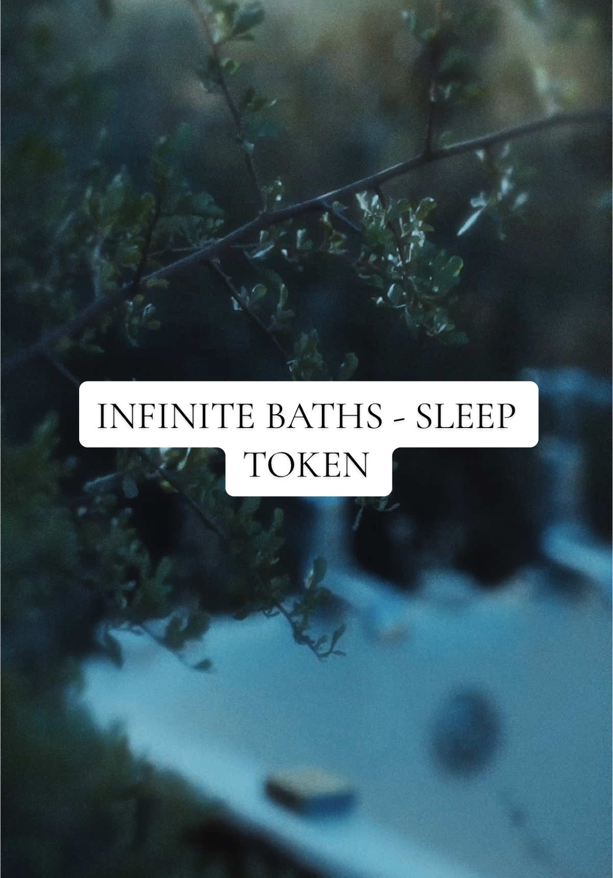 “I have fought so long to be here. I am never going back.” @Sleep Token  #sleeptokenedit #sleeptokenlyrics #sleeptokenworship #sleeptokenband #sleeptokensong #sleeptokenvessel #eveninarcadia #infinitebaths #madamevessel 