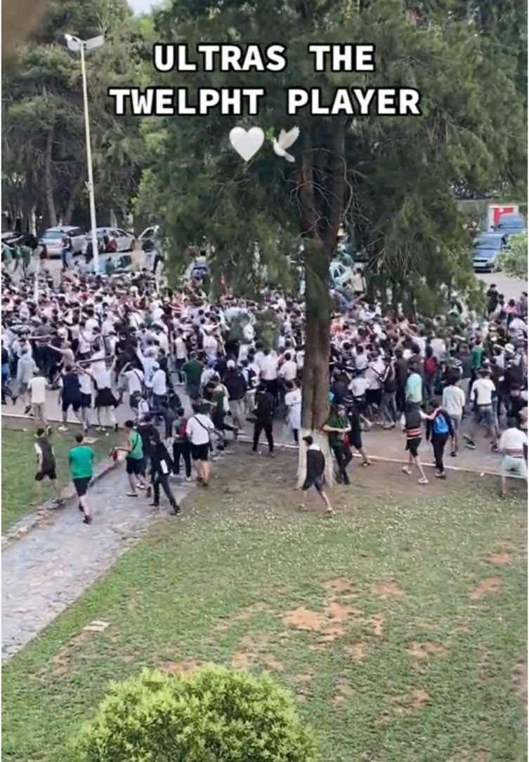 UTTP 🤍 #mouloudia_virage_sud🇮🇹🙏 #dz #fyyyyyyyyyyyyyyyy #fyp #الشعب_الصيني_ماله_حل😂😂 