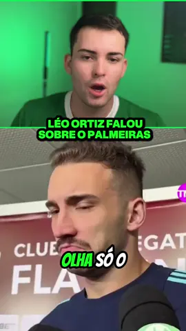 #palmeiras #verdao #tiktokesportes 