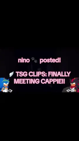 🐾🎀: MM, Shawn… @Team Sonic Gaming  hihi everybunny! you may know me as nino from the Team Sonic Gaming discord server! I decided to start posting little clips here and there to help bring the sonic squad on tiktok together to have fun with them, share them, and make edits or videos with them! hope you guys can stick around. as momic says, have a way past cool day! see ya — Nino #sonicthehedgehog #sonicedit #teamsonicgaming #miside #sonadow 