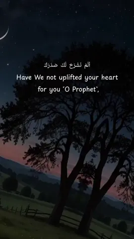 #quranreminder #allahuakbar #quran_verse #islamic_video #quran #beatifulquranrecitation #qurancollectuon #salahbukhatir ##CapCut #for_you #nigeriantiktok🇳🇬 