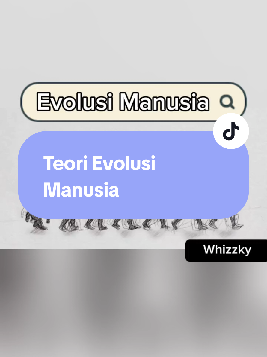 teori evolusi manusia #fyppppppppppppppppppppppp #fyp #teori #biologi #evolusi #manusia #primata #darwin 