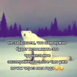 окак😳😳😳 #fyp #rg #foryoupage #медведь2026 #2026 #bear #мем #окак 
