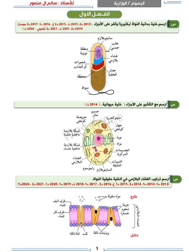 تفيدكم بالمراجعة رسومات الاحياء للسادس العلمي  #سادسيون #مالي_خلق_احط_هاشتاقات 
