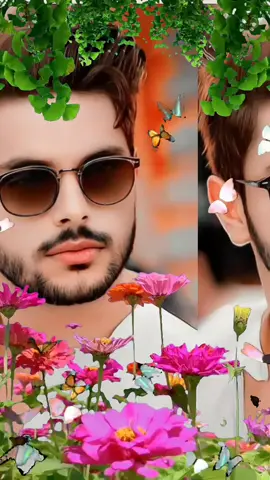 আস'সালামুলাইকুম প্রিয় সাথী ও বন্ধুগন। 🤎🧡❤️‍🩹 সবাইকে জানাচ্ছি সুন্দর রাতের মিষ্ট শীতল শুভেচ্ছা। #flowers #reelsviral #videoviral 